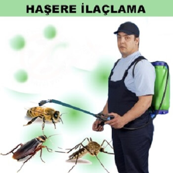 Bilecik Böcek İlaçlama